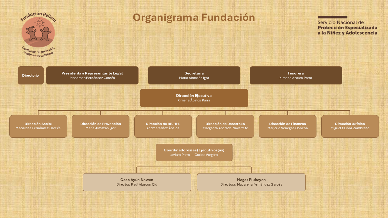 Organigrama Fundacion